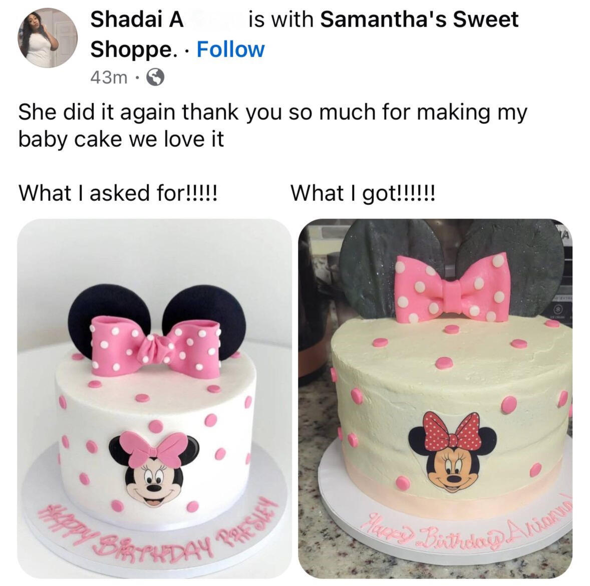Review 20