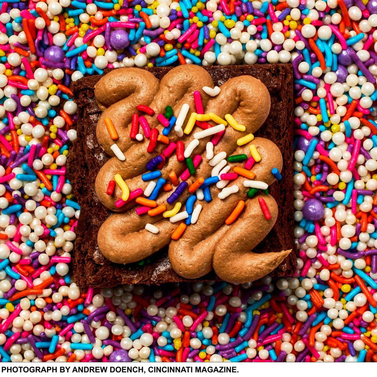 Cincinnati Magazine Brownie Cincinnati Magazine Brownie